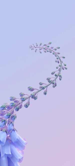 Wallpaper